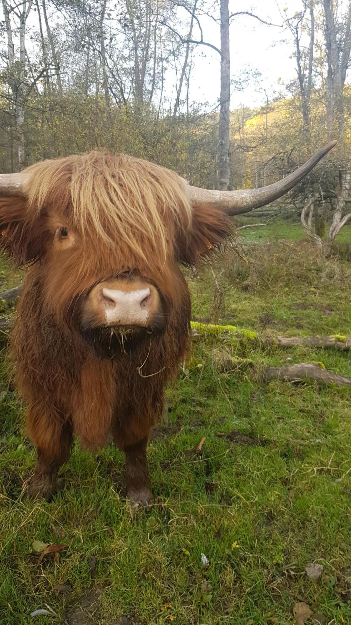 Au Pays De Hanau Parque de Campismo Dossenheim-sur-Zinsel